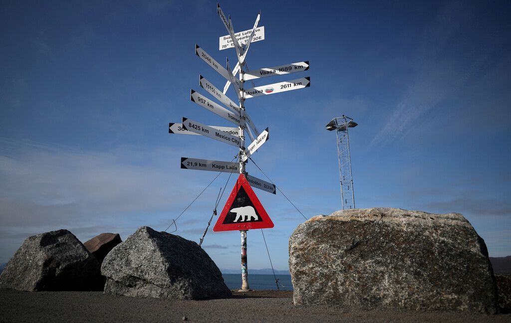 Eisbär geht in Spitzbergen auf Eisvermesser los