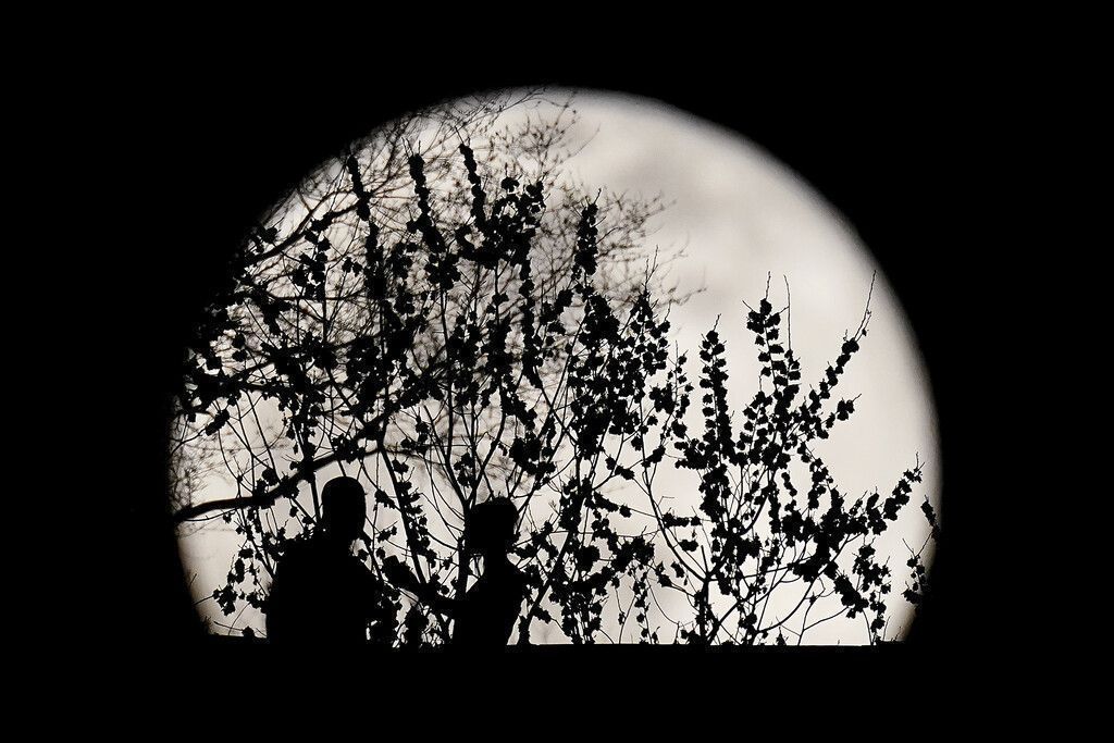 Bilder des Tages