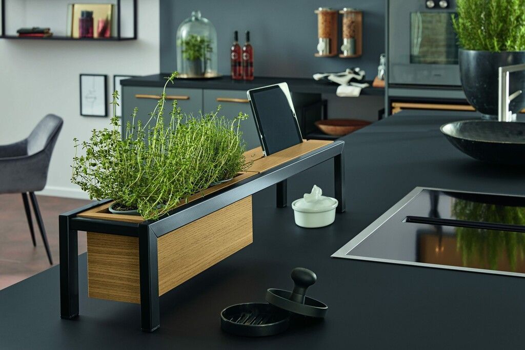 Der neue Trend heißt Indoor-Gardening