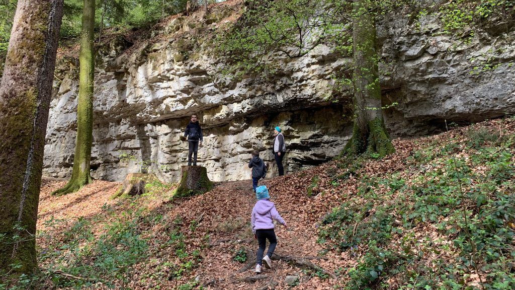 Fitnessparcours und schöne Waldrunde in Röthis