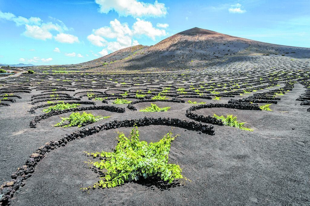 Kultur und Natur im Einklang