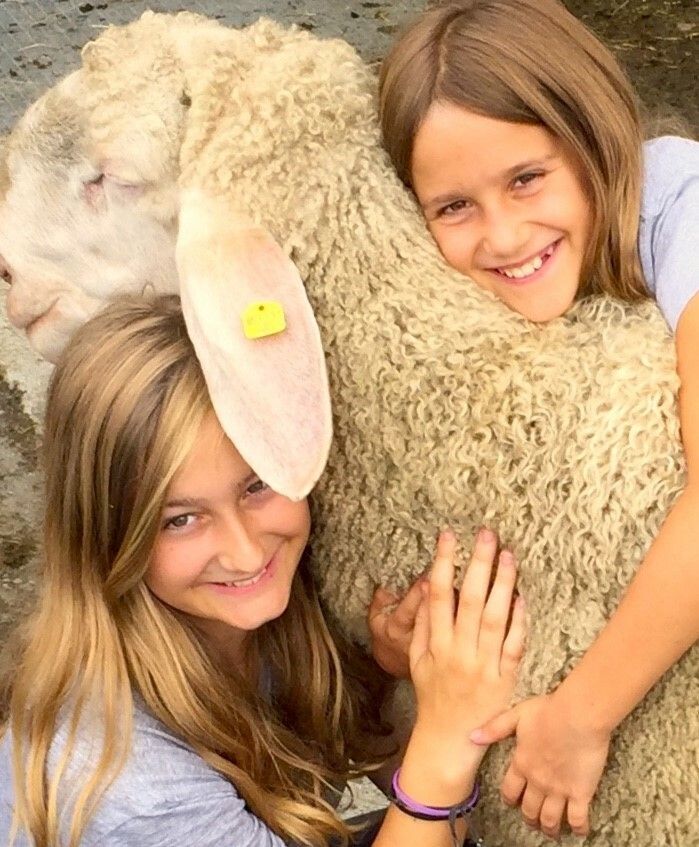 Klimaschutz braucht Biss