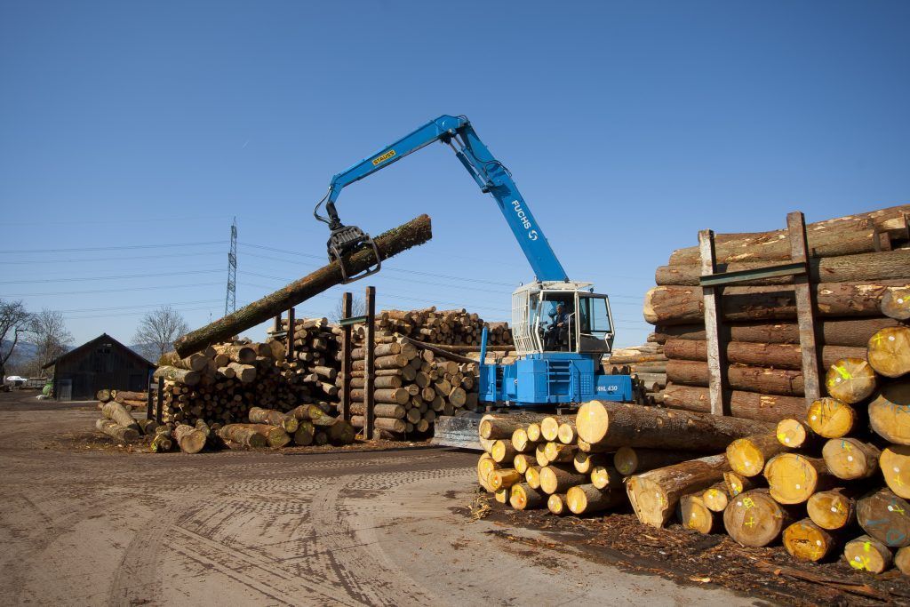 Holzweg könnte lang werden