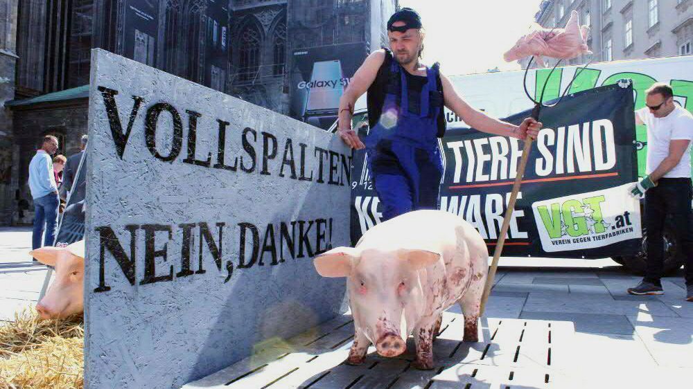 Aufgabenliste für den Tierschutzminister: Weniger Tiertransporte und mehr Regionalität