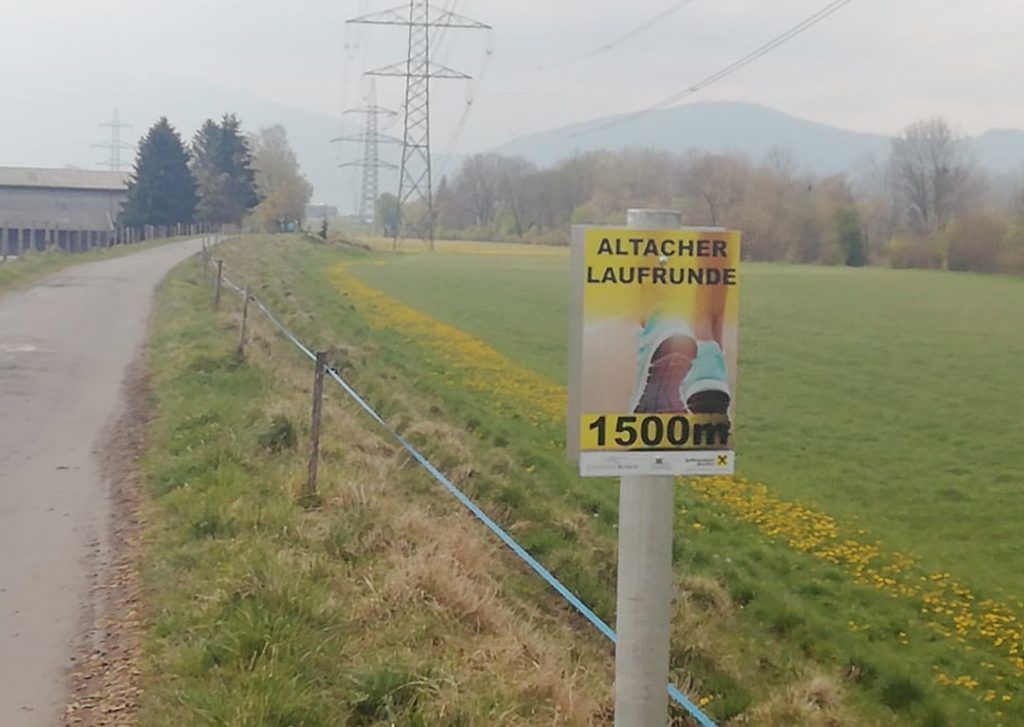 Laufrunde durchs Altacher Ried