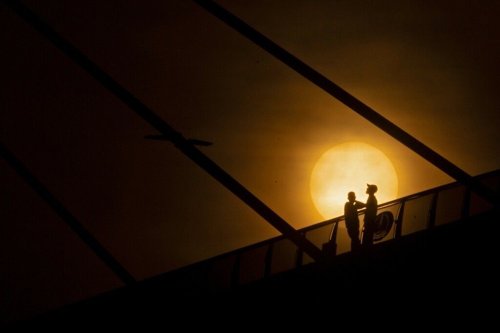 Bilder des Tages