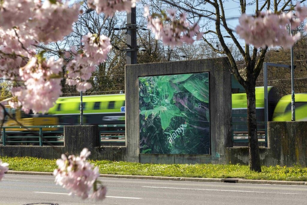 Neue KUB-Ausstellung kündigt sich im Stadtraum an