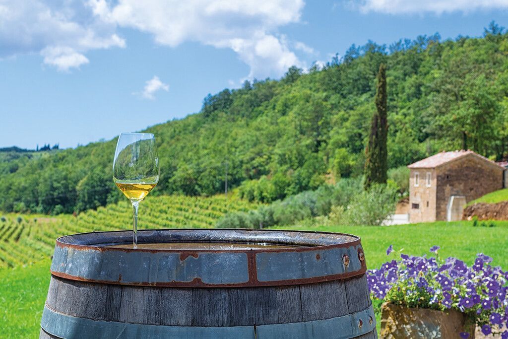 Typischer istrischer Malvasier vom Vorzeige-Weingut Kozlovic