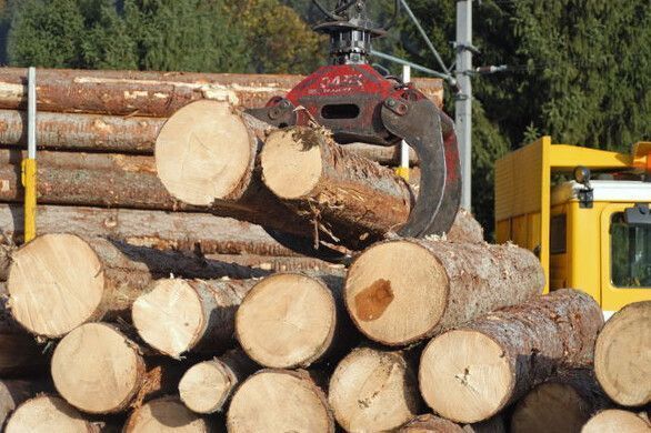 Holzgipfel: Regionale Zusammenarbeit soll enger werden. »D1