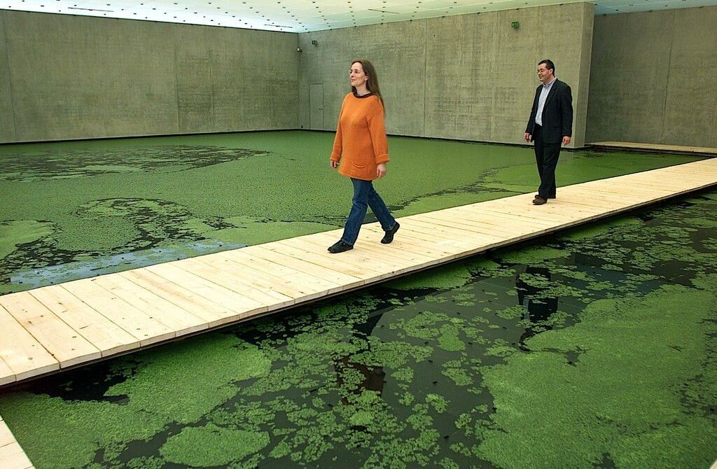Olafur Eliasson nun bei Beyeler