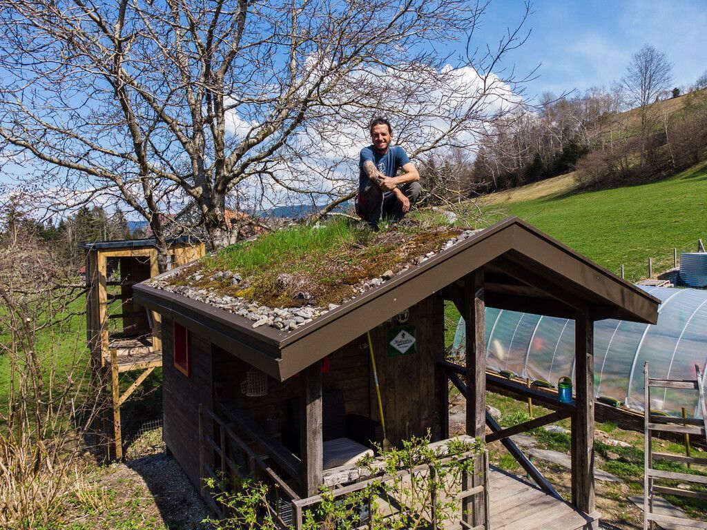 Grün im Garten und am Dach &#8211; Pflanzen statt Stein und Beton zur Versiegelung. »a6, 7