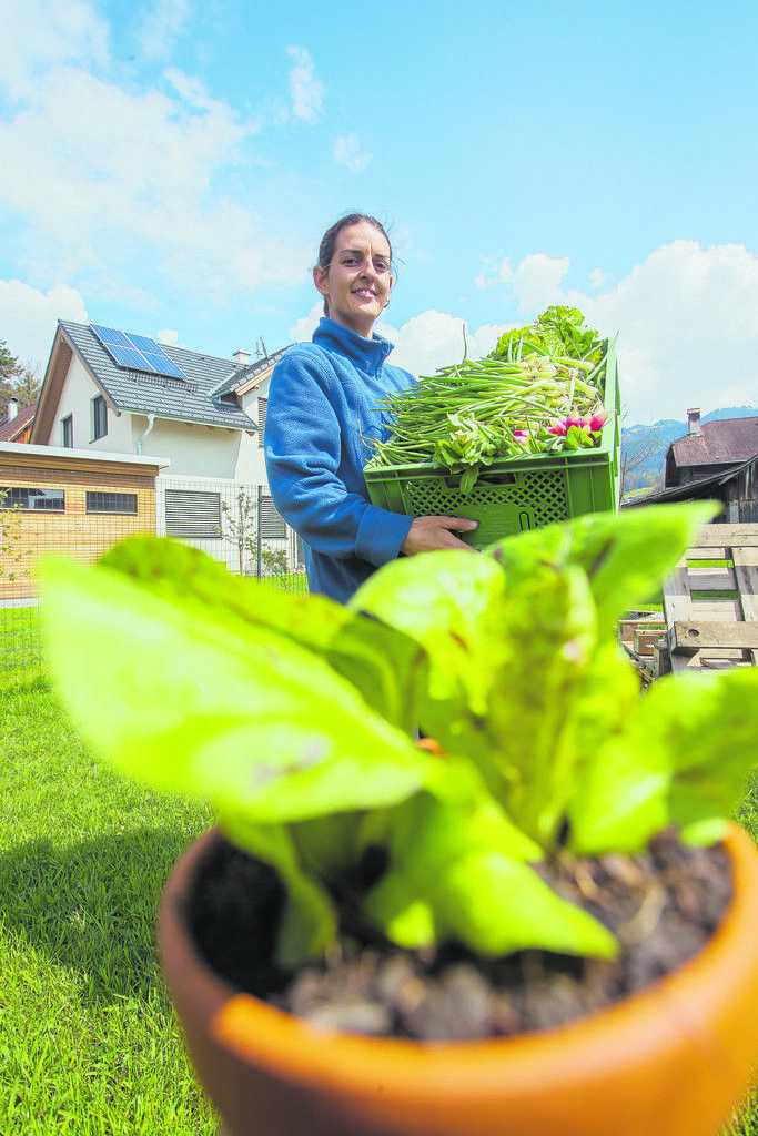 Bioboom in ­Vorarlberg