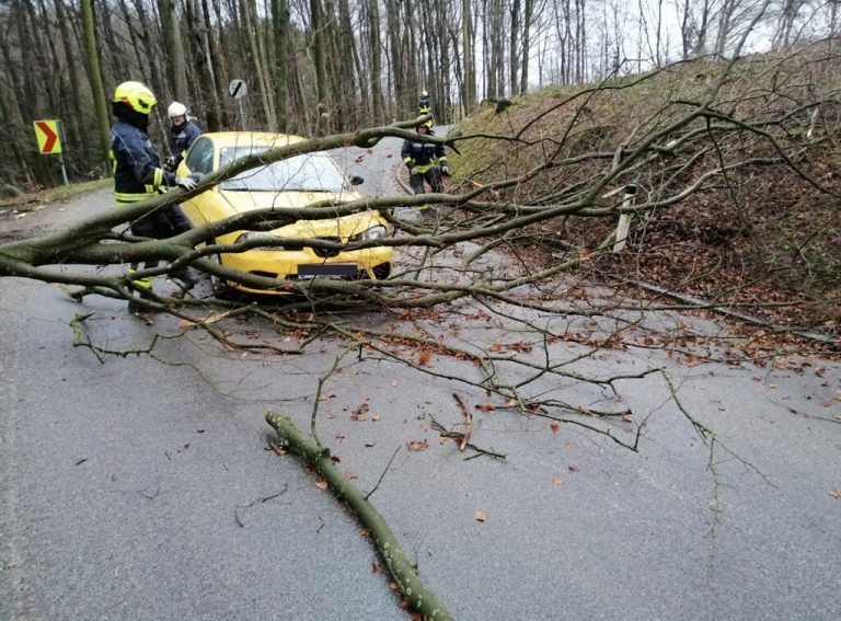 Immer öfter werden in Österreich sturmbedingte Feuerwehreinsätze nötig. Ein Trend, der anhält. apa/Preinsbach