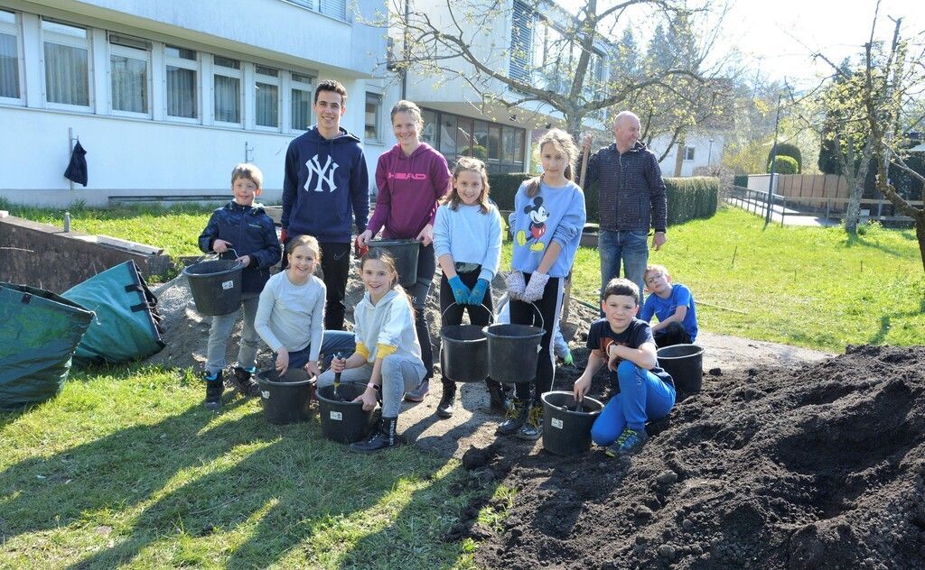 Rohrbacher Volksschüler legen Beeren-Naschgarten an