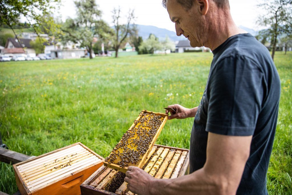 Die summende Wohlfühlzone