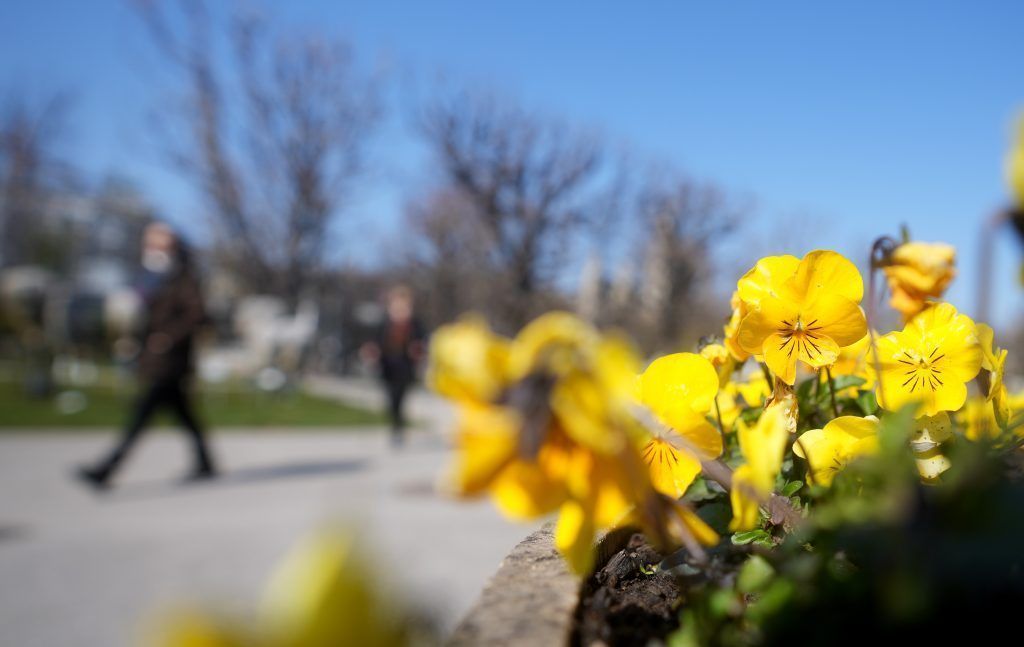 Staatsfeiertag am 1. Mai wieder ohne Aufmärsche und Feiern