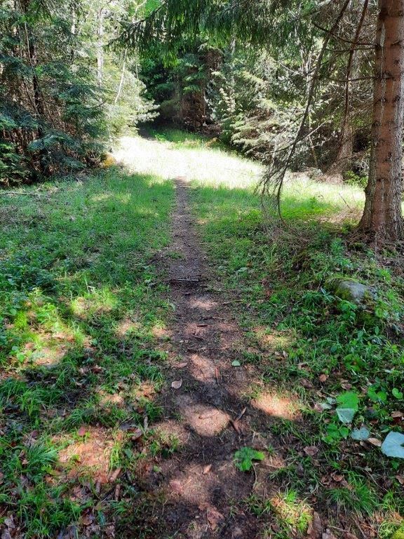 Gefährliche Nagelfalle auf Waldweg in Göfis