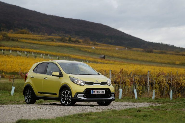 Auf 3,6 Metern Kürze zeigt der Kia Picanto Charakter. Das Leichtgewicht kommt locker mit kleinvolumigen Motoren aus. Die Potenz reicht bis zu 100 PS.