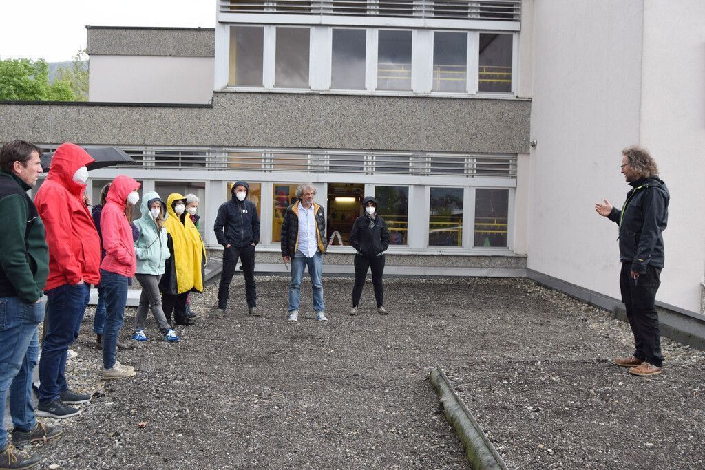 Es wird bald grün auf dem Schuldach in Rankweil