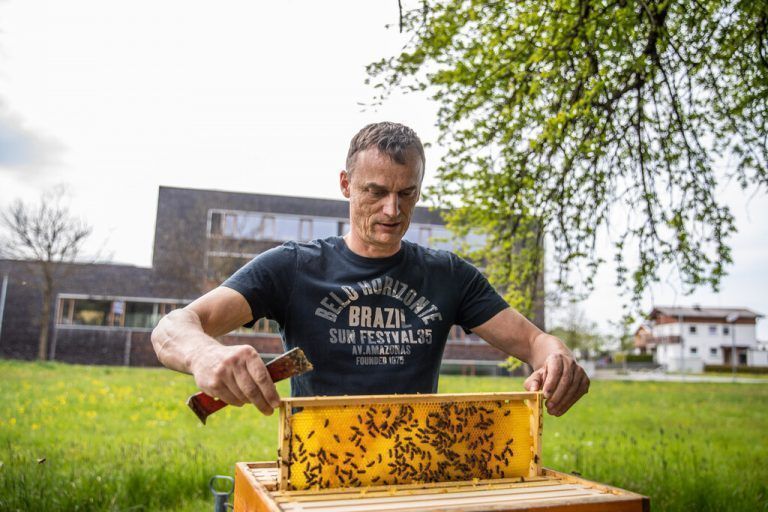 Bei seinem Großvater lernte Gerhard Mohr das Imkerhandwerk. Seitdem fühlt er sich den Bienen verbunden. VN/Sams