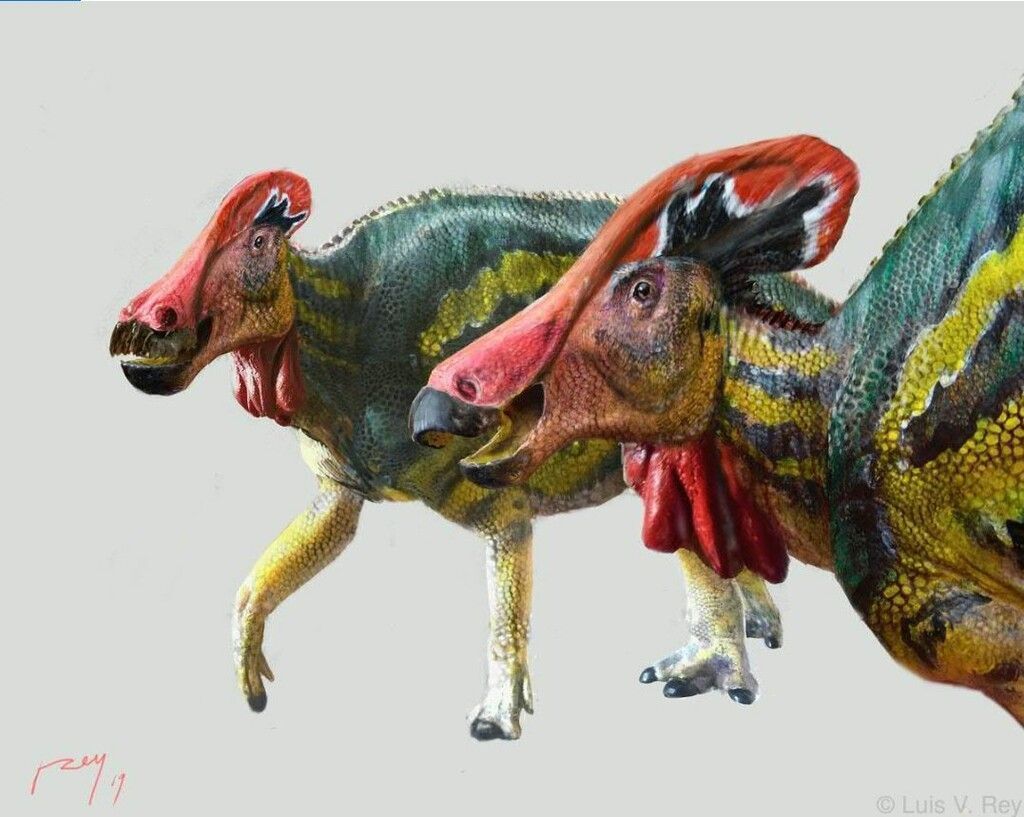 Neue Dinosaurierart entdeckt