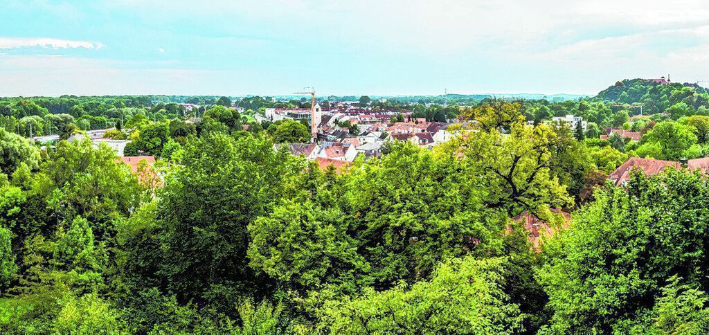 Der Domberg zu Freising