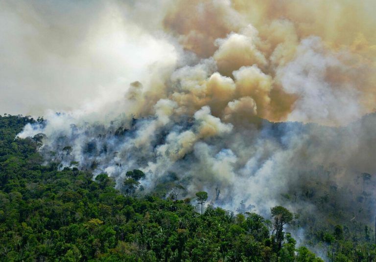 Der Regenwald bindet normalerweise riesige Mengen klimaschädliches CO2. Durch Brand­rodung entsteht aber mehr davon, als er aufnehmen kann. afp
