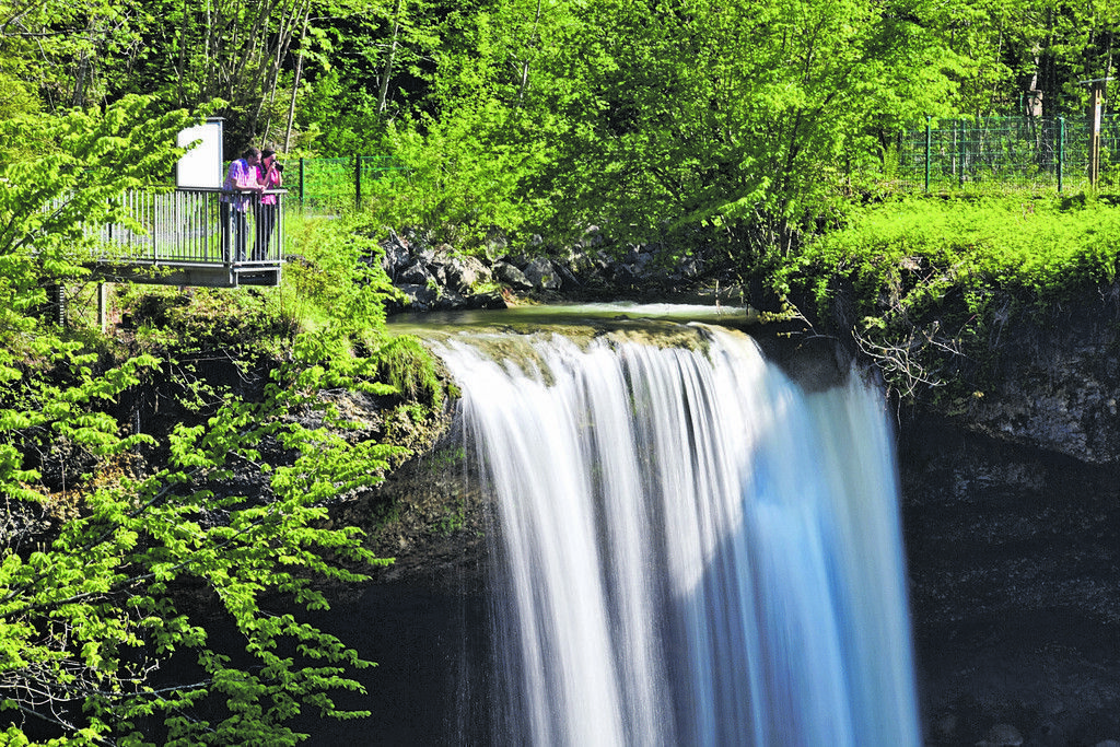Scheidegg ist Partnerort der Gartenschau Lindau