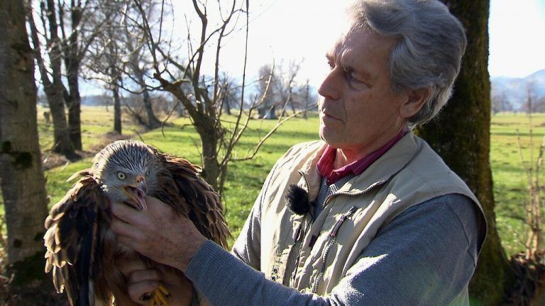 Die Tierschutzpreisträger Katharina Feurstein, Wildtierhilfe Vorarlberg, Karl Heinz Hanny, Tierretter, und der Rheinhof für besonders liebevolle Mensch-Tier-Beziehung.