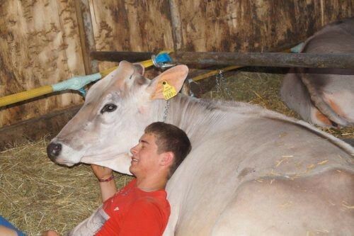 Die Tierschutzpreisträger Katharina Feurstein, Wildtierhilfe Vorarlberg, Karl Heinz Hanny, Tierretter, und der Rheinhof für besonders liebevolle Mensch-Tier-Beziehung.