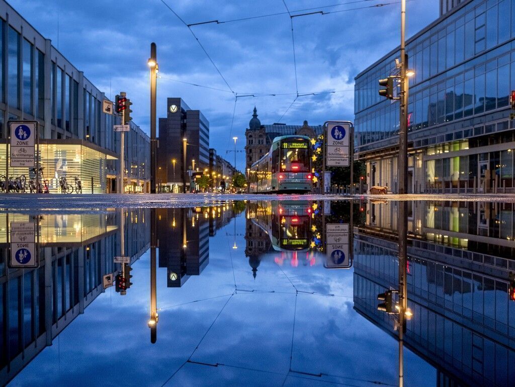 Bilder des Tages