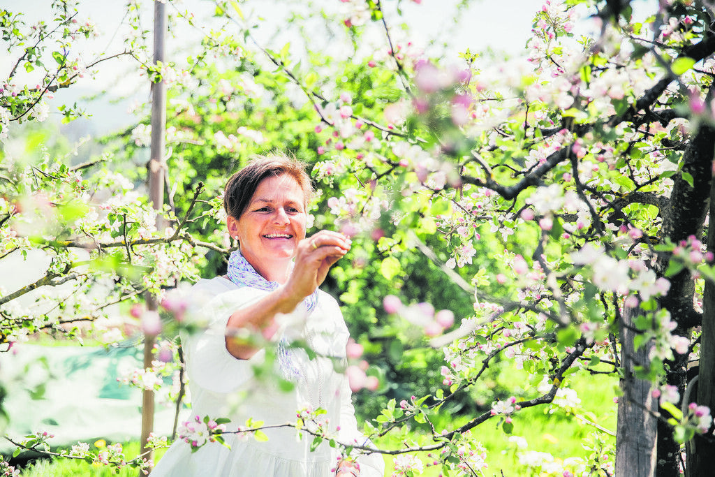 Blütenpracht für eine summende Vielfalt