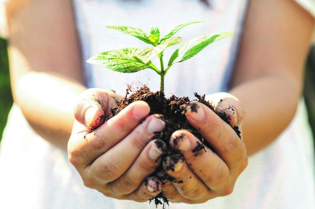 Nachhaltig achtsame Anlagestrategie!
