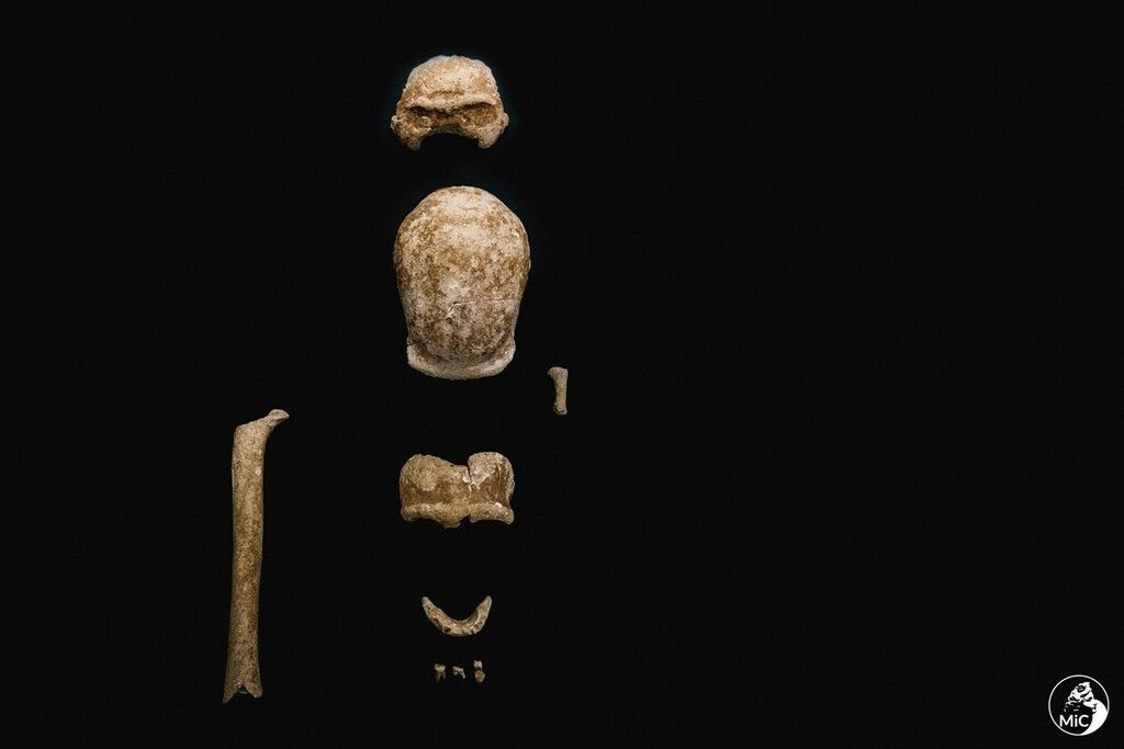 Fossile Überreste