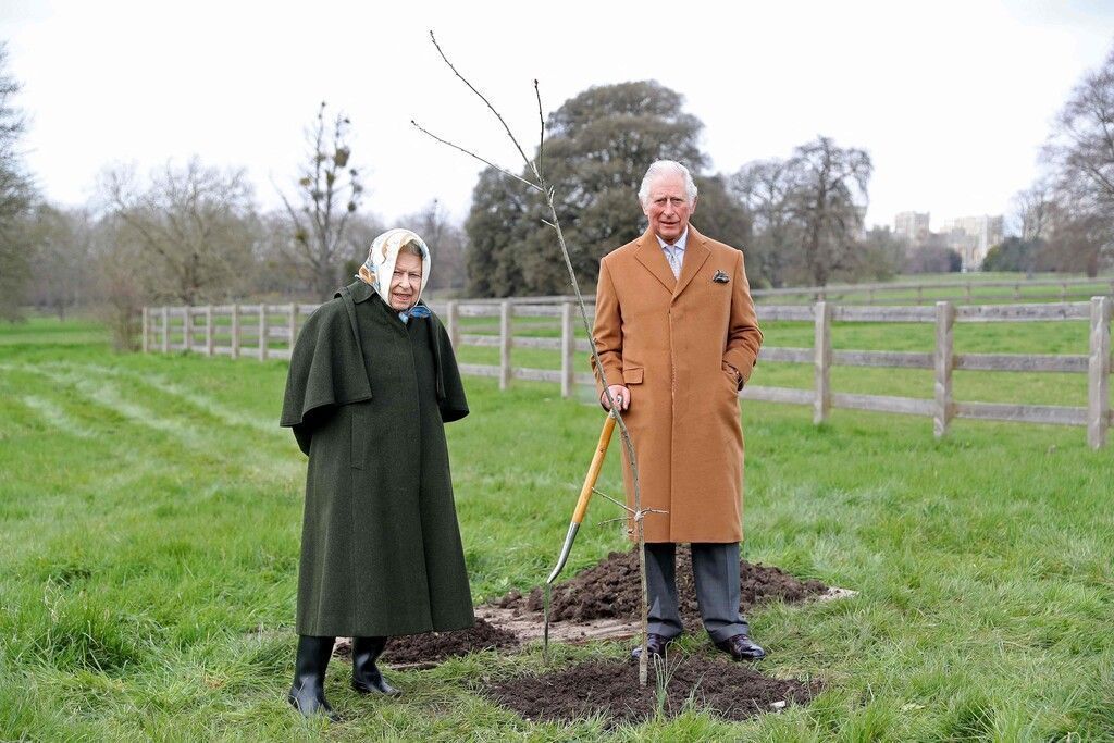 &#8220;Grüner Baldachin&#8221;