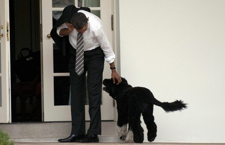 Hund Bo wohnte mit den Obamas im Weißen Haus.AFP