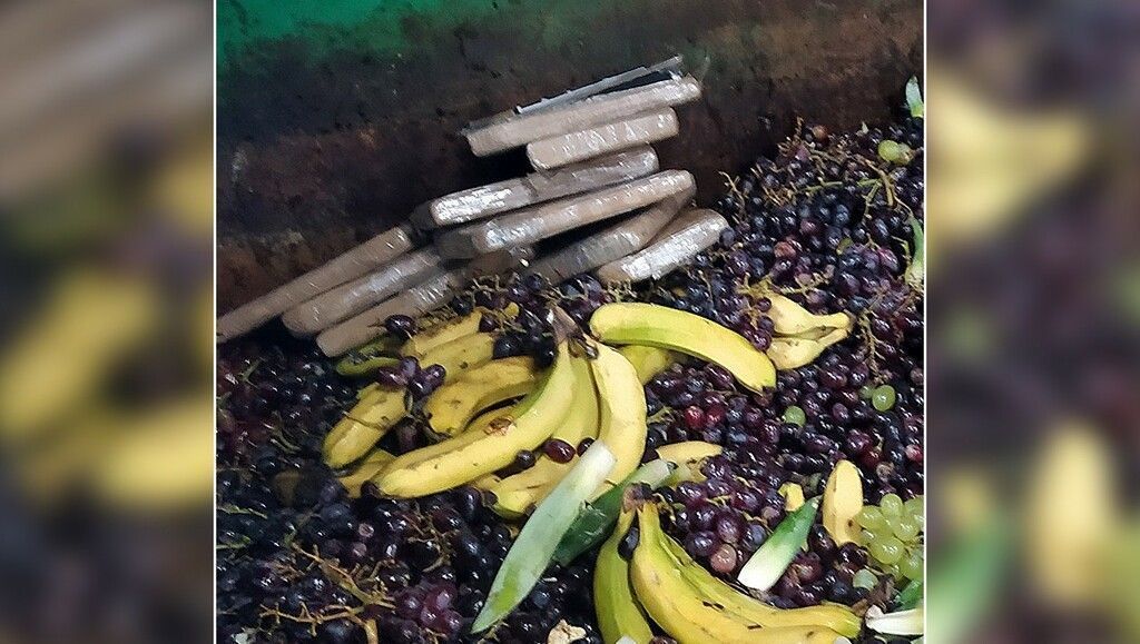 Millionenfund: 4,5 kg Kokain im Biomüll