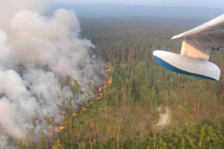 Mit der Hitze ist auch die Waldbrandgefahr gestiegen. Vor allem Sibirien ist betroffen. AFP