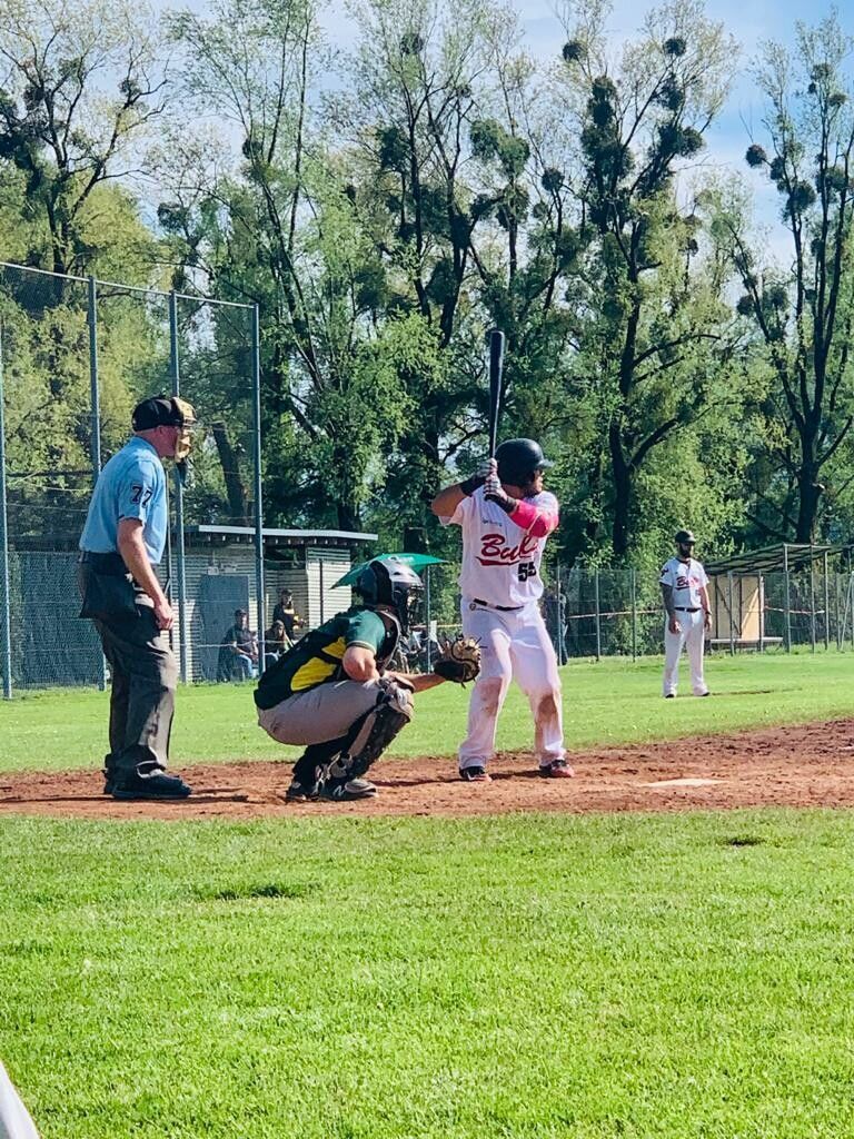 Die Traiskirchen Grasshoppers waren in beiden Spielen zu stark für die Hard Bulls.hard bulls