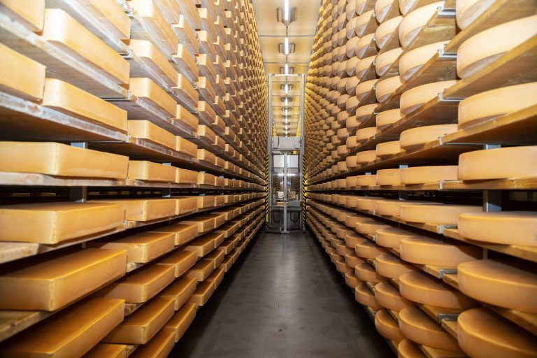 Käse aus Vorarlberg und Österreich ist ein Exportschlager.VN/Paulitsch