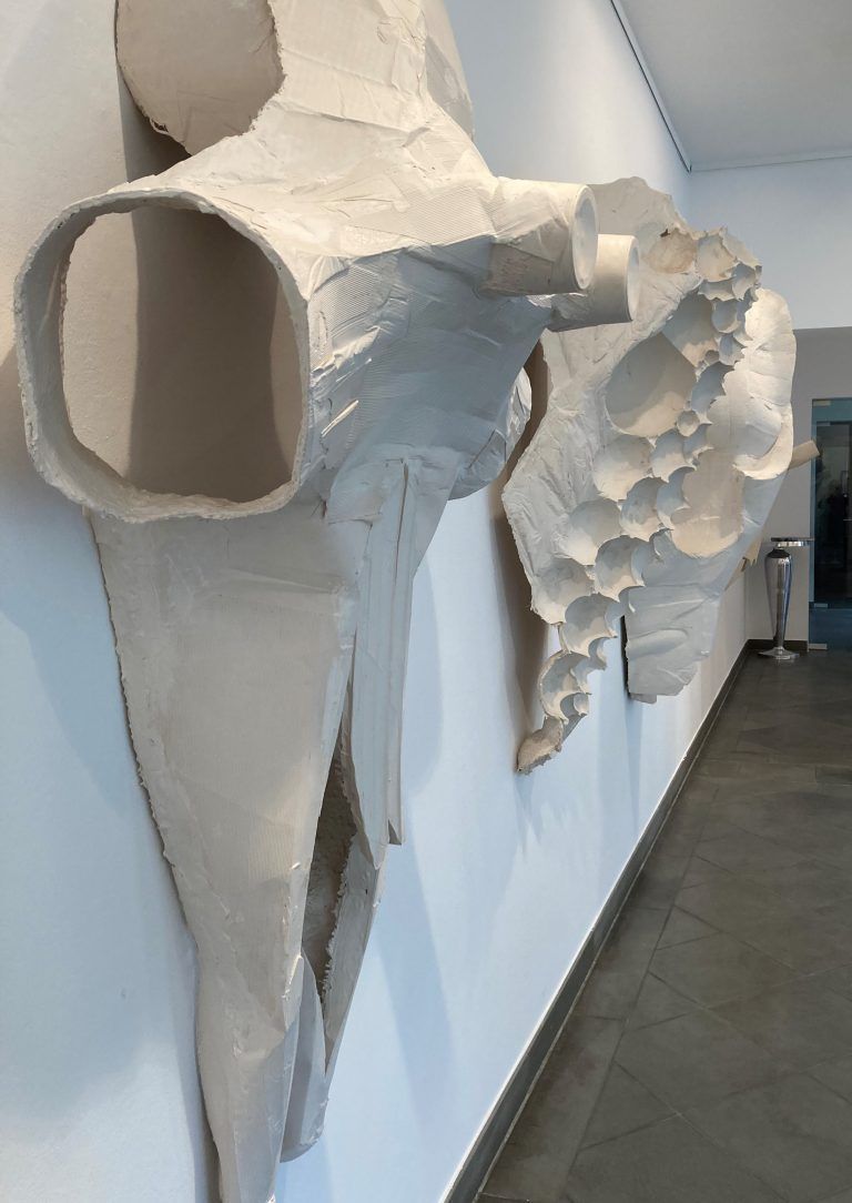 Tierschädel-Objekte von Peter Sandbichler in der Galerie 60.
