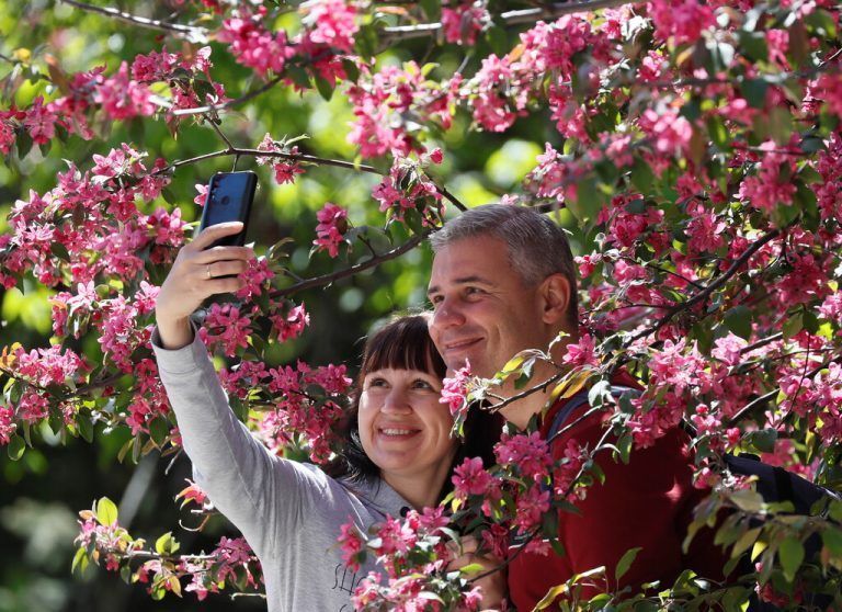 Vor dem Hintergrund der blühenden Kirschbäume knipst ein Pärchen in der ukrainischen Hauptstadt Kiew ein Selfie. reuters