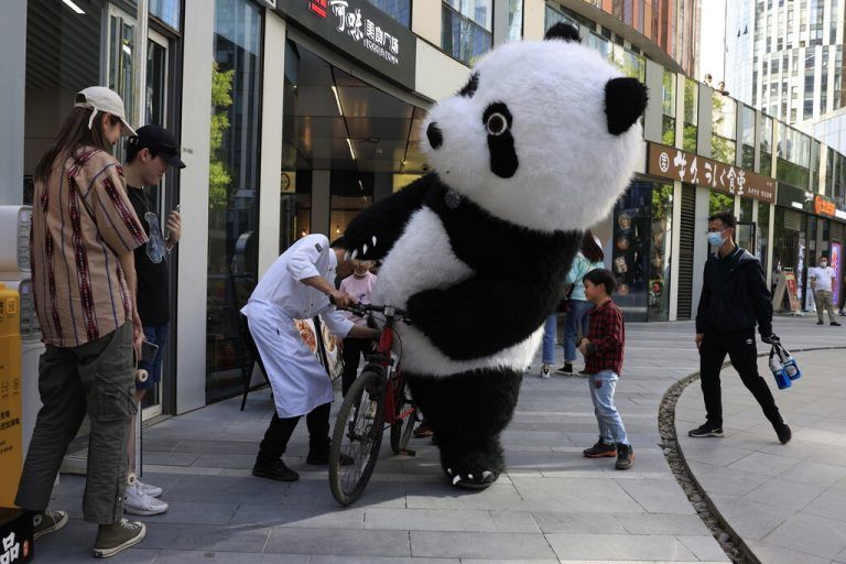 Zur Belustigung der umstehenden Personen versucht in Peking eine Person im Pandakostüm, sich auf ein Fahrrad zu schwingen. reuters