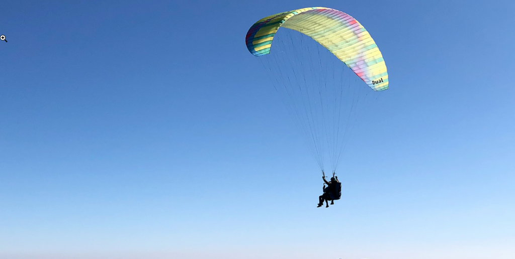 Bei Tandemflug in Baumwipfel gelandet