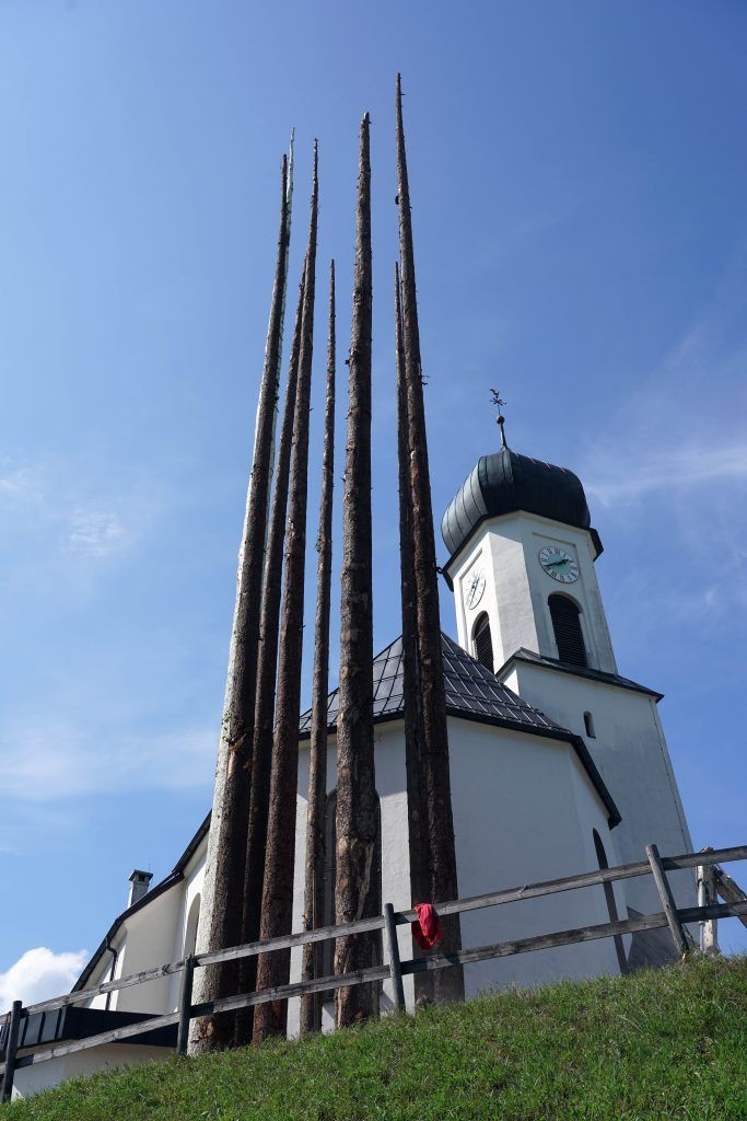 Besondere Bäume für die Seeanlagen