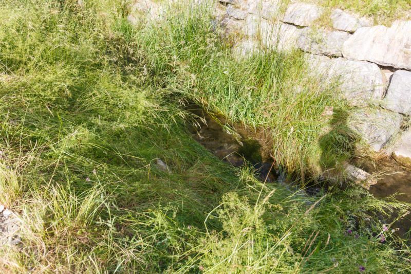 Schlins: 70-Jähriger in Bach ertrunken