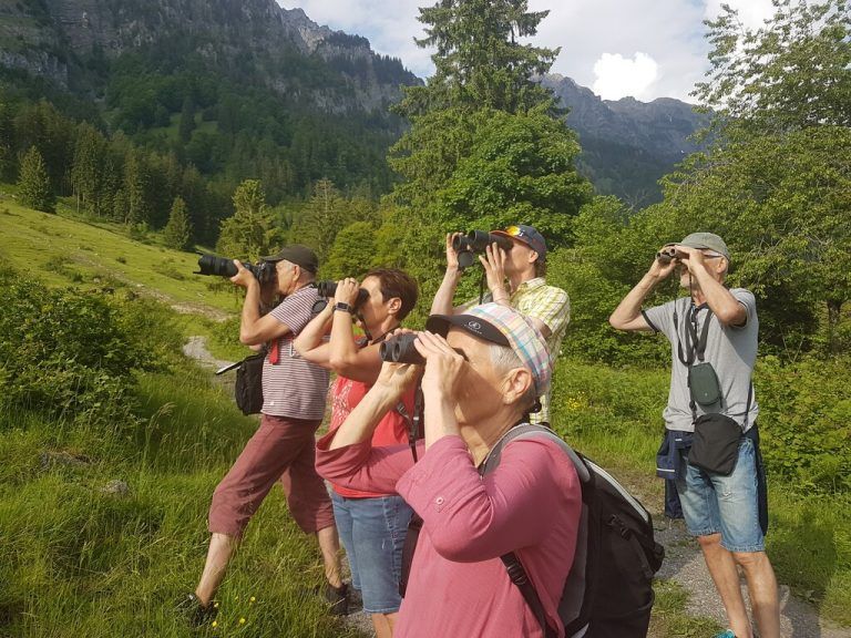 Bei der Exkursion entdeckten die Teilnehmer die seltenen Neuntöter.Bludenz