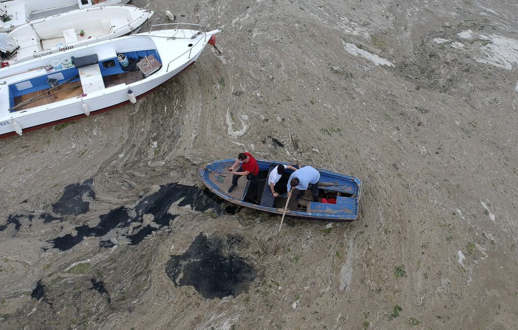 Schleimplage im Marmarameer