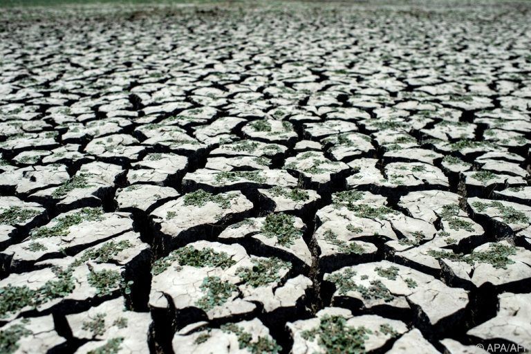 Ein IPCC-Berichtsentwurf prognostiziert unter anderem Dürren, Hunger und Artensterben.