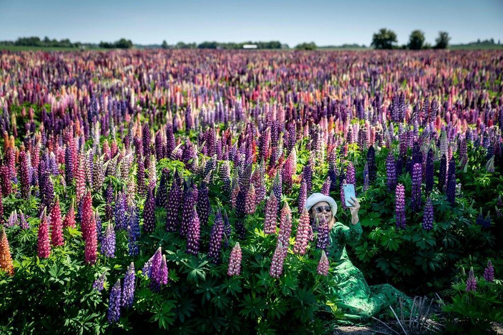 Bilder des Tages